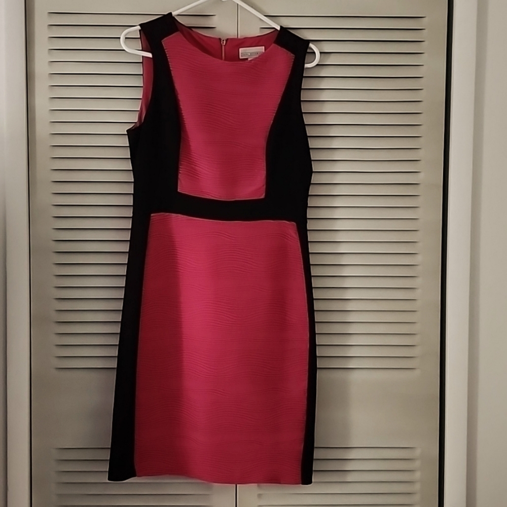 Dana Buchman sheath dress size 10 hot pink and black